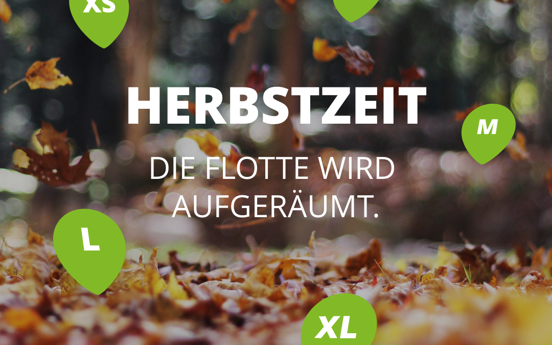 Renault Zoe ist ab sofort Kategorie S, alle Ford Fiesta ab jetzt Kategorie S und alle Ford Focus Kategorie M